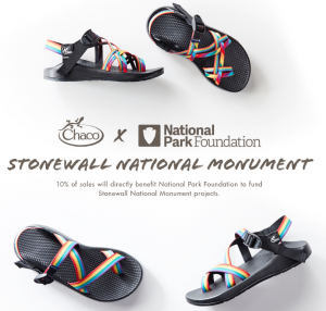 chaco women's national park sandals